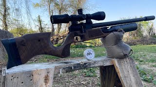 Epic 2 420mm .22 cal
