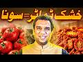 Tomato Dehydration Business | Complete Process, Machine &amp; Profit Guide 2026