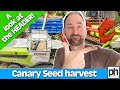 Harvesting CANARY SEED and a LOOK at the COMBINE HEADER #harvest2022