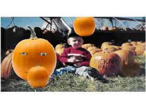 Crazy Talk "The Pickard Farm Pumpkin-Pickin'"