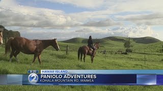 Hawaii Island Week: Paniolo Adventures