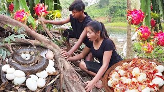 Pick Natural dragon fruit and egg for food- Egg spicy delicious cooking for lunch, Survival cooking