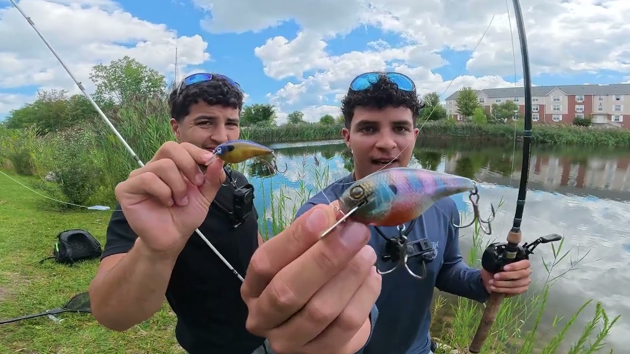 I Tested If Office Ponds Actually Hold Monster Fish || LONG FORM STORYTELLING