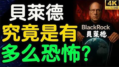 BlackRock：操控世界的公司？背後竟然站著一台早已超出我們想像的AI和一個絕對華爾街之狼的男人【財之道】@moneyrules8​