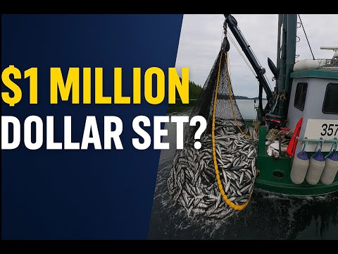 Alaska Commercial Fishing 30 000 Pound Set Purse Seining For Salmon 