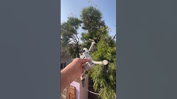 Dji mini 2 drone camera #dji #drone #shorts #viral #trending #shortsfeed #viralshorts