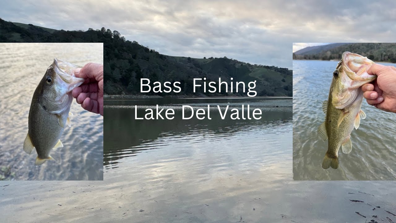 Early March Bass Fishing Lake Del Valle