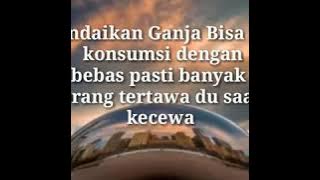 Story Wa Lagu Lily by Alan walker