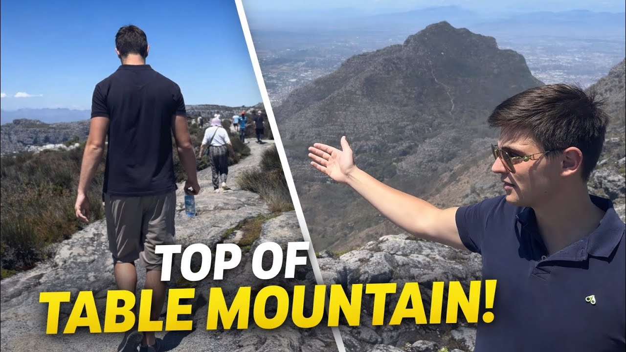 What to DO and SEE on TABLE MOUNTAIN, Cape Town (South Africa) 