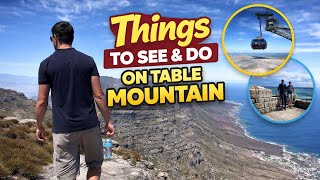 What to DO and SEE on TABLE MOUNTAIN, Cape Town (South Africa) 