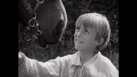 Fabian van Fallada - Aflevering 12 De Losprijs uit 1969