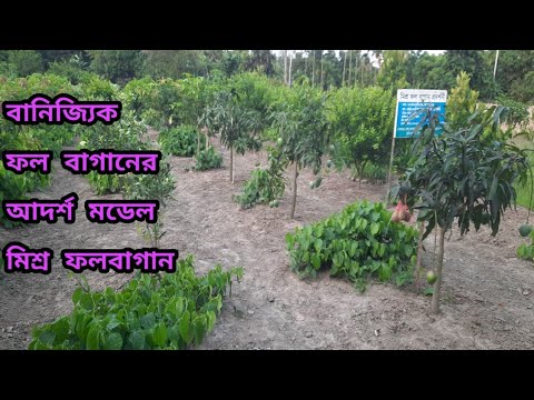 ভিডিও: উচ্চ ফলন বাগান লেআউট - কিভাবে একটি বড় বাগান ফলন পেতে