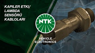 [TR] Kapiler etki/lambda sensörü kabloları
