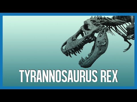 Vidéo: Est-ce que le charognard t rex ?