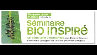Présentation des Séminaires Bio-inspirés Details