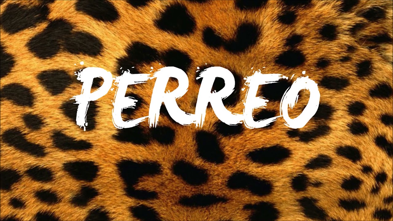 ⚡TYPE BEAT GUAYNAA🐍 | Instrumental Perreo🔥