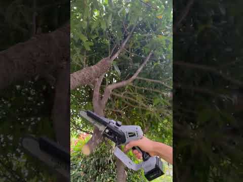 SC-5805 New best selling cheap 500W cordless chainsaw with 16.8V batteries electric pruning saw