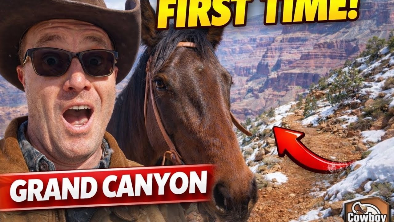 Эпическая поездка по Большому каньону, часть первая!