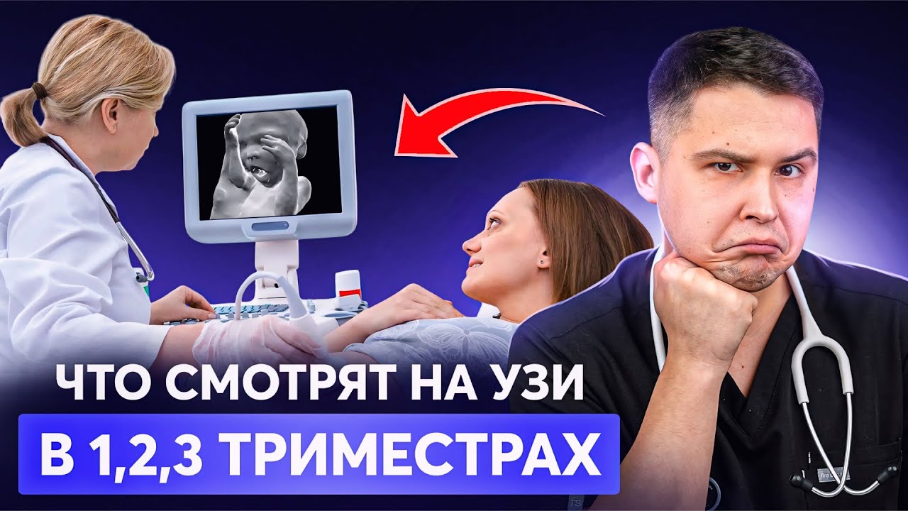 Что показывают УЗИ на разных этапах беременности?