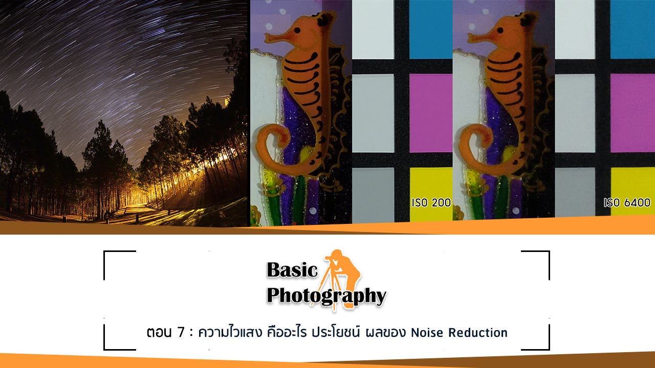 Basic Photography EP.7 : ความไวแสง คืออะไร ประโยชน์ ผลของ Noise Reduction