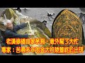 老漢修繕自家茅廁，意外幫了大忙，專家：苦尋多年的金太祖陵墓終於出現