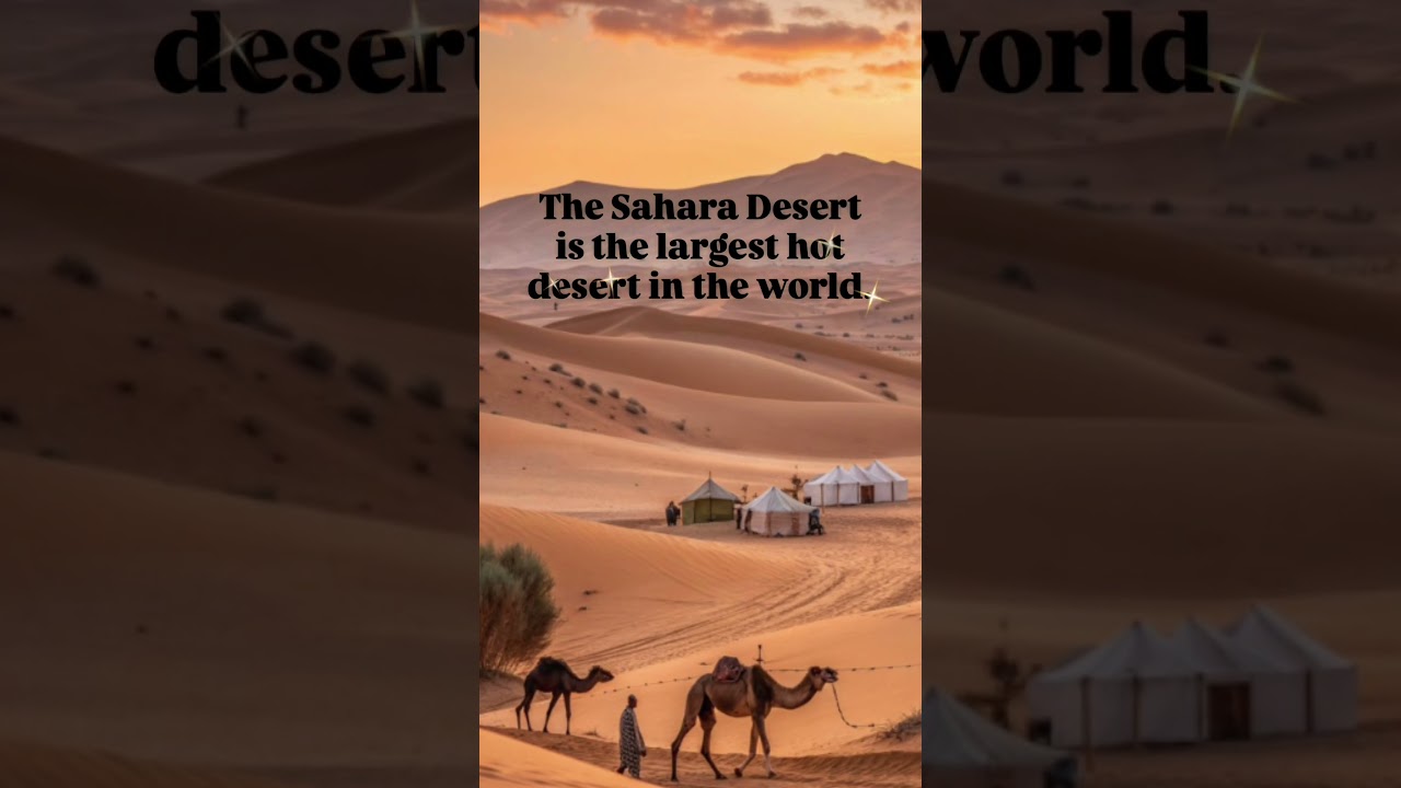 Largest Hot Desert in the World | Geography Fact | S.St