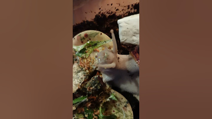 Bouche escargot géant