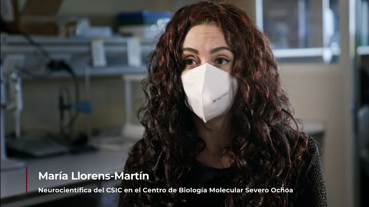 Mara Llorens - Clulas Madre del Cerebro permiten generar neuronas durante toda la vida