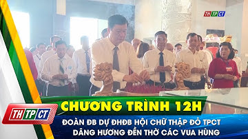 Đoàn đại biểu dự Đại hội đại biểu Hội Chữ thập đỏ TPCT dâng hương Đền thờ các Vua Hùng| Cần Thơ TV