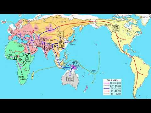 Генетическая генеалогия (рассказывает генетик Валерий Ильинский)