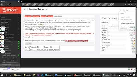 [WebGoat 7 - Injection Flaws] Database Backdoors