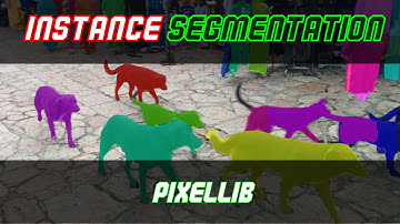 Instance Segmentation with PointRend model - PixelLib