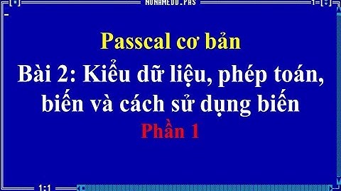 Pascal cơ bản-Bài 2 Kiểu dữ liệu phép toán biến và cách sử dụng biến - phần 1 ❤ Việt Nam Channel ❤
