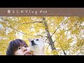 《 冬の夕陽に励まされる日🍲|ヤキモチと紅葉と湯豆腐と。|暮らしのVlog #118 》My holiday routine in the warm, soft winter sun.
