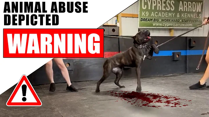 GRAPHIC Cane Corso ANIMAL ABUSE Cypress Arrow Cane...