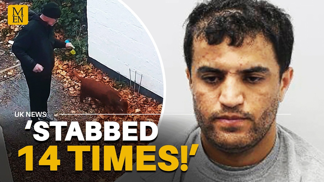 Afghan refugee LOCKED UP for stabbing dog walker 14 times in KNIFE SPREE