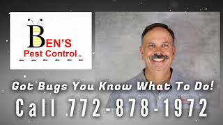 Termite Control by Bens Pest Control Port St. Lucie, Palm City & Stuart Florida