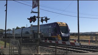Morning Passenger Trains In Wallan!