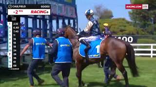 HAYASUGI (AUS)  2024 Blue Diamond Prelude F (2YO OPEN SW G2 F) Group 2 Caulfield 10 February