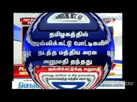 JALLIKKATTU VETRI SONG PANVAAA