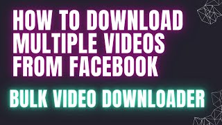 How to download mutliple videos in bulk from facebook/tiktok screenshot 2