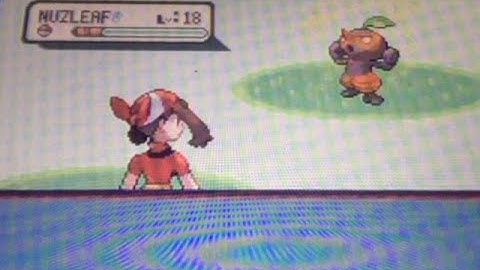 Live shiny Nuzleaf after 4,565 REs