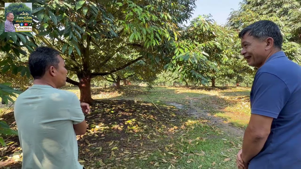 รู้ลึกจับจังหวะให้ถูก🙏🙏🙏