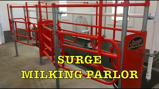 Surge Milking Parlor: Installed and Milking First Time! (Building Dairy Barn #16)