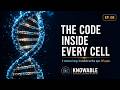 DNA: The Most Elegant Code Ever Written