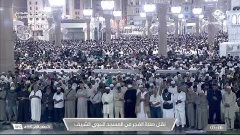 صلاة الفجر المسجد النبوي الشيخ محمد برهجي | الثلاثاء 20 جمادى الأولى 1447هـ من سورة الروم.