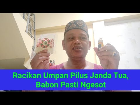 Racikan Umpan Pilus Janda Tua, Babon Pasti Ngesot @pakgurutotokchannel