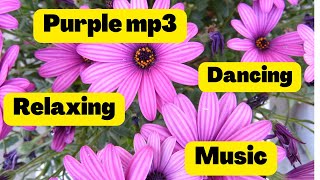 Purple mp3    Relaxing Dancing Music   /  Musical Background No Copyright