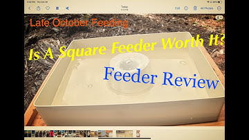 Beekeeping | Top Feeder Install and Review!