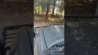 2004 Toyota Sequoia engine knock cold start